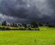 worcestershire