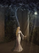 Queen of the elves in the woods