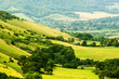 south downs
