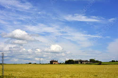 Photo: farm farm