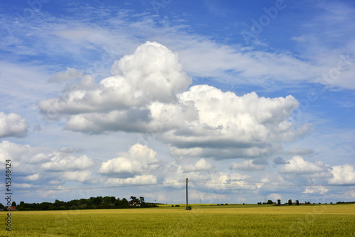 Photo: farm farm