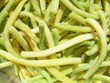 Common bean