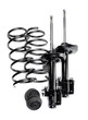 Set of shock absorbers, springs and thrust bearings
