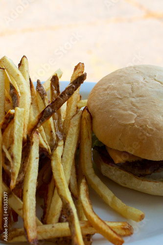 Photo: Cheeseburger and Fries on a Plate Cheeseburger and Fries on a Plate