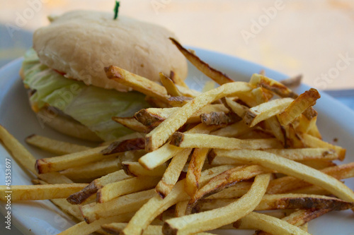 Photo: Fries and a Cheese Burger on a White Plate Fries and a Cheese Burger on a White Plate