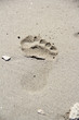 Footprint