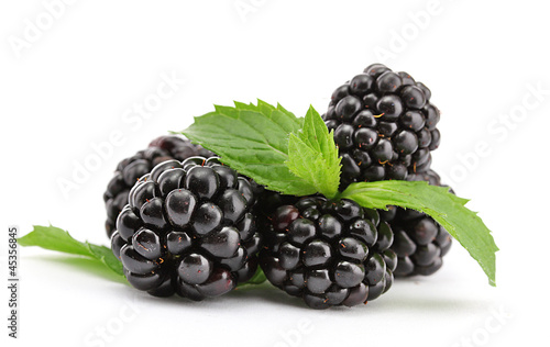Photo: beautiful blackberries with leaf isolated on white beautiful blackberries with leaf isolated on white