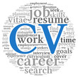 Curriculum vitae  concept in word tag cloud