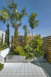 piante sul terrazzo moderno