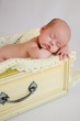 Newborn Baby Girl Sleeping in Yellow Drawer