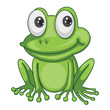 a frog
