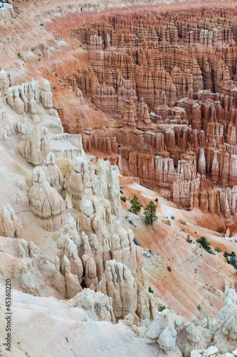 Photo: bryce canyon bryce canyon