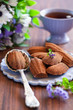 Chocolate madeleine cookies, selective focus