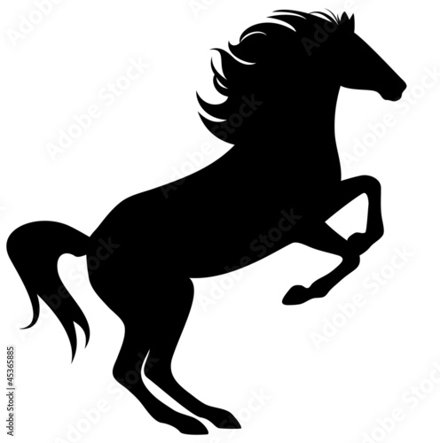 Vector: rearing horse fine vector silhouette rearing horse fine vector silhouette