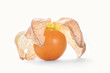 Physalis fruit, isolated