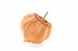 Physalis fruit, closed
