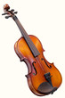 violin