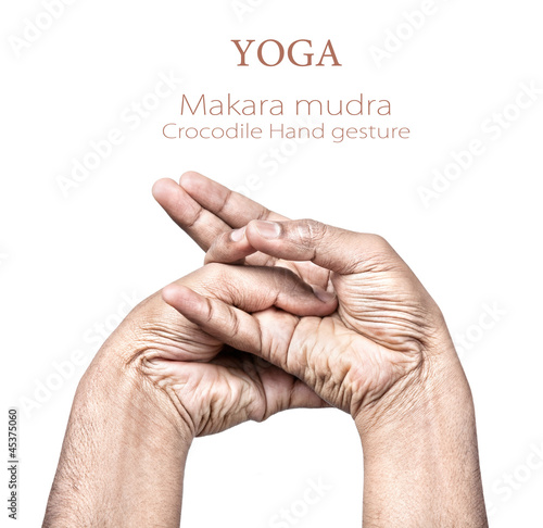 Photo: Makara mudra Makara mudra