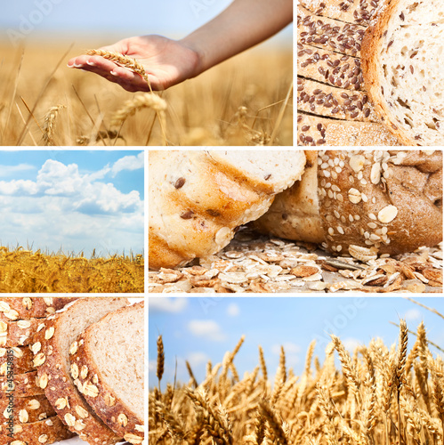 Photo: Collage wheat Collage wheat