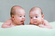 newborn baby twins lying on stomach