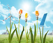 Solar panel and wind energy