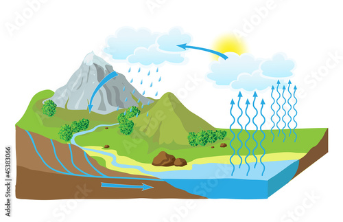 Vector: Vector schematic representation of the water cycle in nature Vector schematic representation of the water cycle in nature