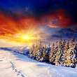 winter