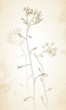 Vector field flowers with imitation of old paper