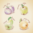 Vintage vector set of different fruits, stylized watercolor