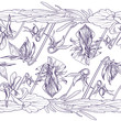 Vector seamless decorative border of the wild pansy