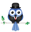 Comical bird businessman sat on a branch