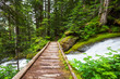 Boardwalk