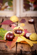 Herbstlicht