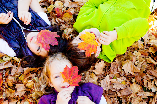Photo: kinder im laub kinder im laub