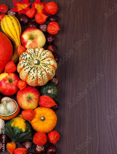 Photo: Thanksgiving border Thanksgiving border