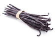 Vanilla pods isolated on white