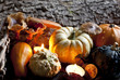 fruits décoration d'automne bougie halloween