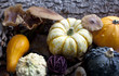 fruits d'automne