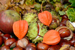 Herbst