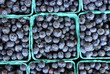 fresh blueberries in pint containers