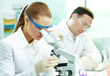 Foto: Clinical study Clinical study