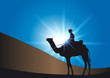 Desert_Soleil_Rayons