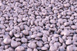 colored gravel