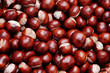 chestnuts
