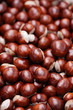 chestnuts
