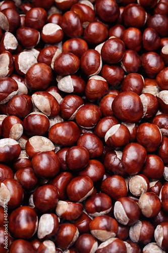 Photo: chestnuts chestnuts