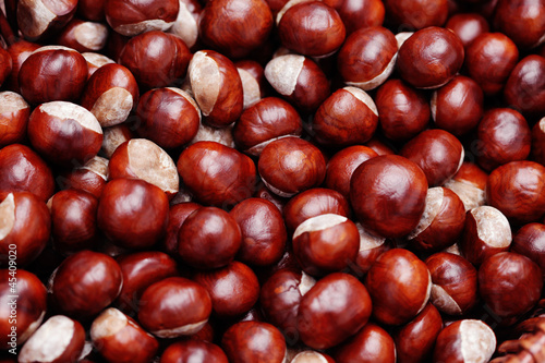 Photo: chestnuts chestnuts