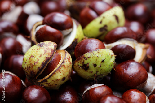 Photo: chestnuts chestnuts