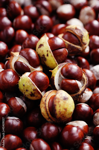Photo: chestnuts chestnuts