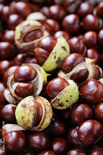 Photo: chestnuts chestnuts